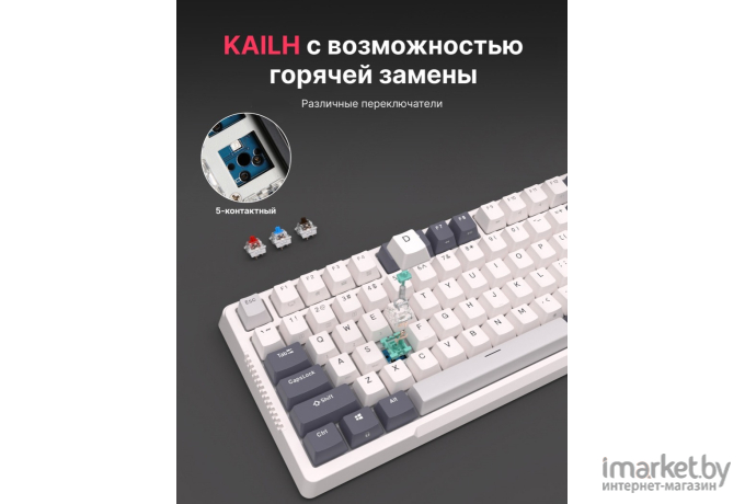 Клавиатура Royal Kludge RK-H81 White (USB/2.4 GHz/Bluetooth, RGB, Hot Swap, Cyan switch)