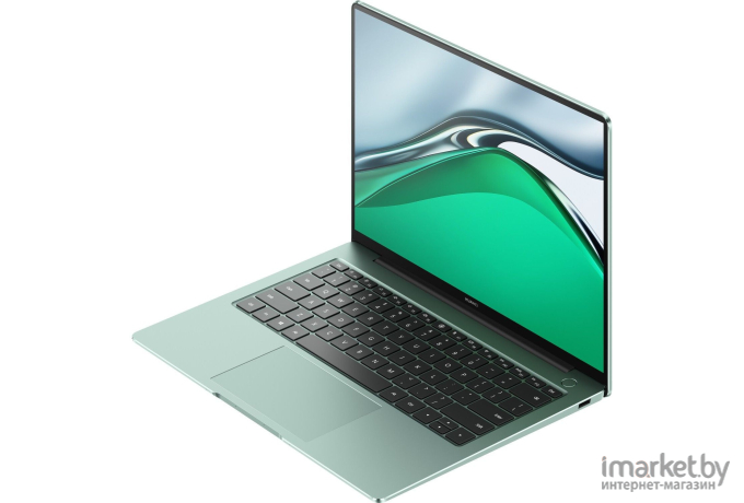 Ноутбук Huawei MateBook 14S HKD-W76 Core i7 зеленый (53012RTL)