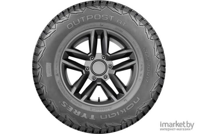 Автомобильные шины Nokian Tyres Outpost AT 245/70R16 107T