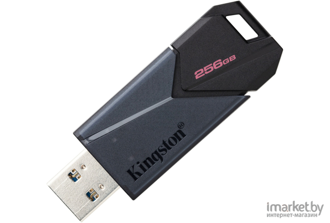 USB Flash-накопитель Kingston DataTraveler Exodia Onyx 256GB (DTXON/256GB)