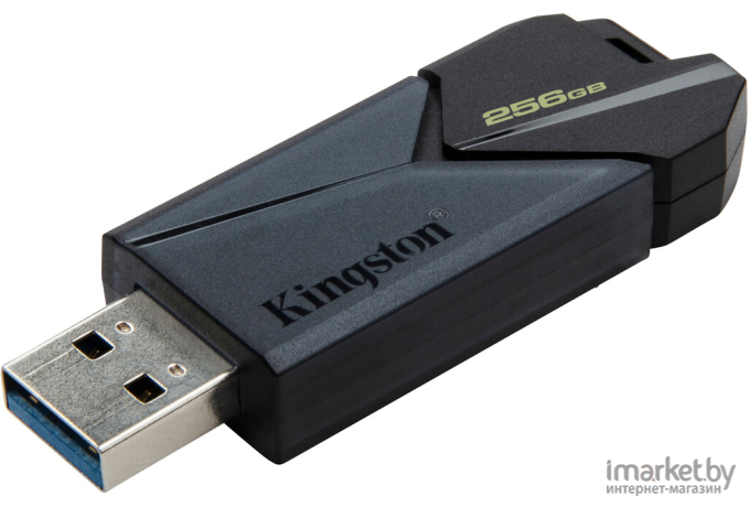 USB Flash-накопитель Kingston DataTraveler Exodia Onyx 256GB (DTXON/256GB)