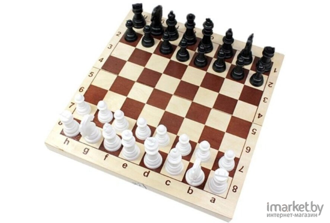 Настольная игра Десятое королевство Шахматы (03878)