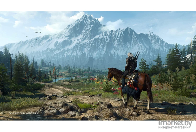 Игра для приставки Playstation PS5 Bandai Namco Entertainment Europe S.A.S. The Witcher 3: Wild Hunt. Complete Edition RU (3391892015461)