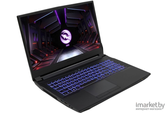 Ноутбук Hiper G16 черный (G16RTX3070C11700LX)