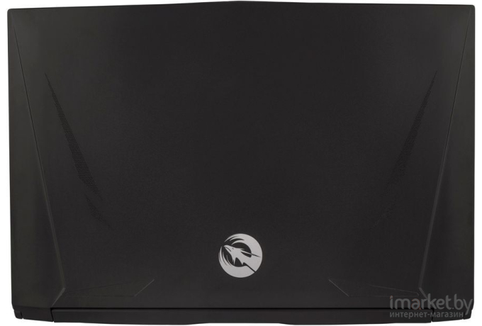 Ноутбук Hiper G16 черный (G16RTX3070C11700LX)