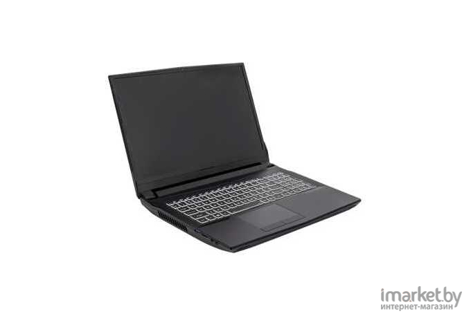 Ноутбук Hiper G16 черный (G16RTX3070D11700W11)