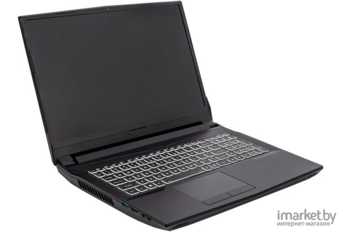 Ноутбук Hiper G16 черный (G16RTX3070A10400LX)