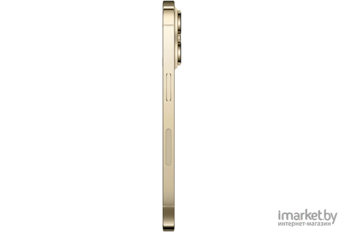 Смартфон Apple A2892 iPhone 14 Pro 128G/6Gb золотой (MQ053CH/A)