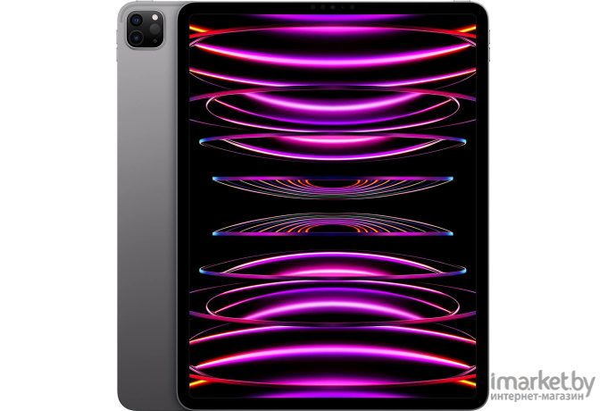 Планшет Apple iPad Pro 2022 A2436 M2 8C серый космос (MNXP3LL/A)