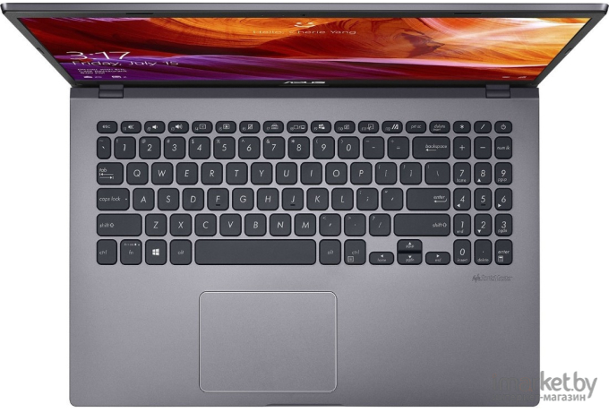 Ноутбук Asus X509FA-BR350 серый (90NB0MZ2-M19580)
