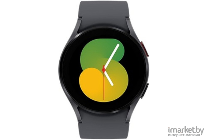 Смарт-часы Samsung Galaxy Watch 5 44мм графит/серый (SM-R910NZAAMEA)