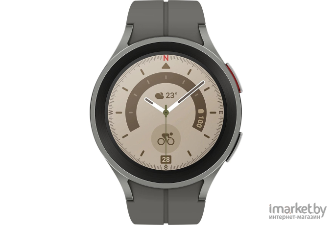 Смарт-часы Samsung Galaxy Watch 5 Pro 45мм черный (SM-R920NZKAMEA)