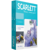 Весы Scarlett SC-BS33E072