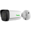 IP-камера Tiandy TC-C35WS Spec: I5/E/Y/C/H/4mm)