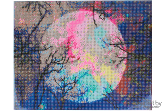 Алмазная живопись Darvish Луна DV-9511-78