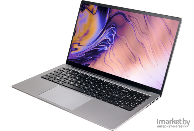 Ноутбук Hiper Expertbook MTL1601 Silver (MTL1601A1115WP)