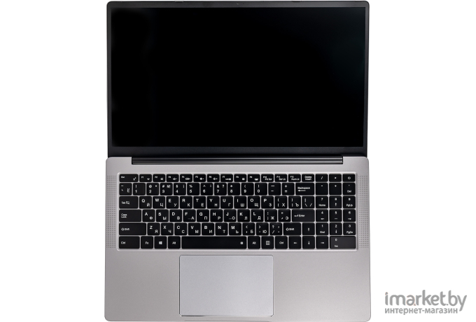 Ноутбук Hiper Expertbook MTL1601 Silver (MTL1601A1115WP)