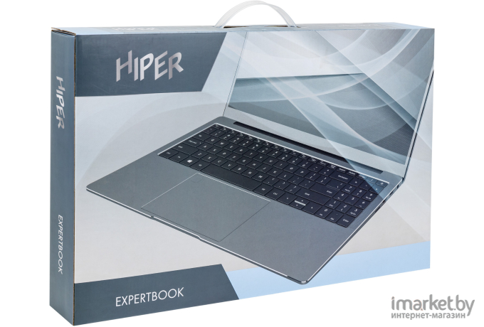 Ноутбук Hiper Expertbook MTL1601 Silver (MTL1601A1115WP)