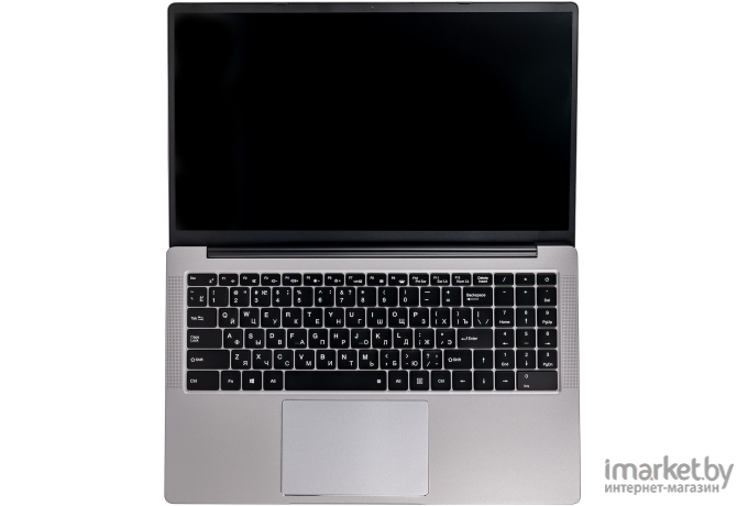 Ноутбук Hiper Expertbook MTL1601 Silver (MTL1601D1210UDS)