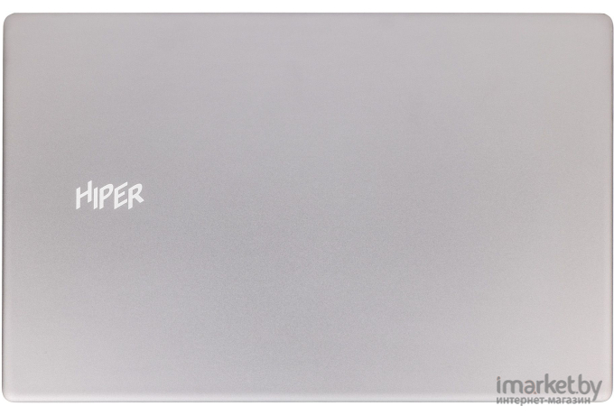 Ноутбук Hiper Expertbook MTL1601 Silver (MTL1601D1210UDS)