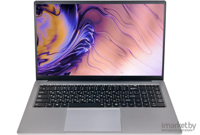 Ноутбук Hiper Expertbook MTL1601 Silver (MTL1601A1115DS)