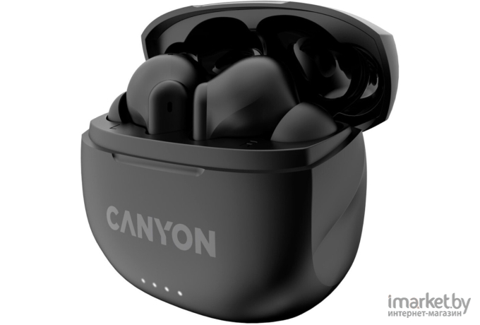 Наушники Canyon TWS-6 Black (CNS-TWS6B)