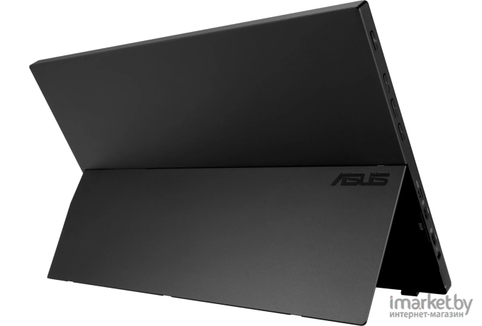 Монитор Asus ZenScreen Ink MB14AHD черный (90LM063V-B01170)