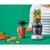 Блендер NutriBullet NB100DG Pro