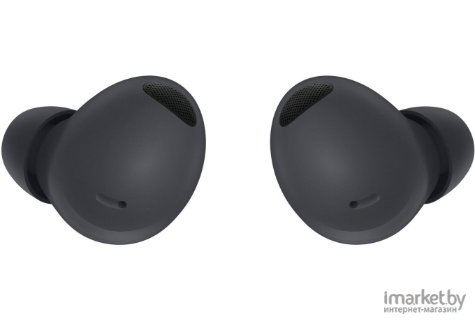 Наушники Samsung Galaxy Buds 2 Pro Gray (SM-R510NZAACIS)