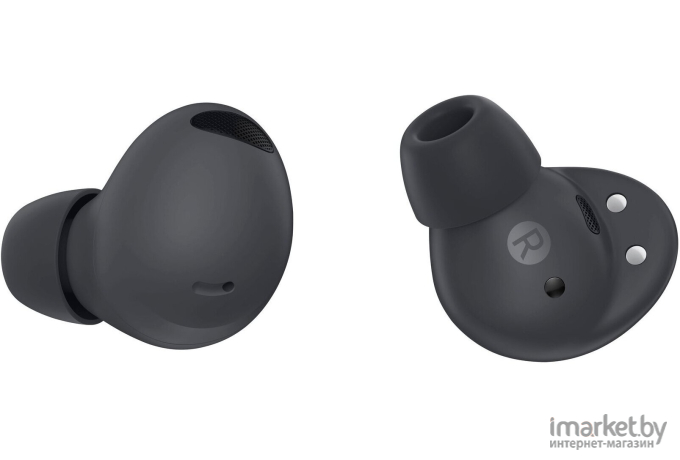 Наушники Samsung Galaxy Buds 2 Pro Gray (SM-R510NZAACIS)