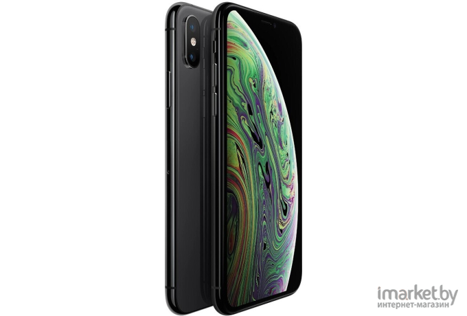 Смартфон Apple iPhone XS 64GB восстановленный Грейд B Space Gray (2BMT9E2)