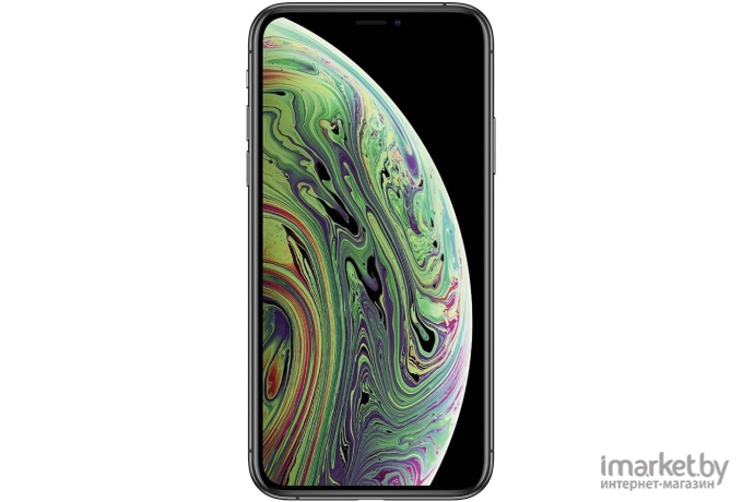 Смартфон Apple iPhone XS 64GB восстановленный Грейд B Space Gray (2BMT9E2)