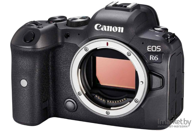 Фотоаппарат Canon EOS R6 Body (4082C003)