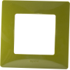 Рамка Legrand Etika 1 пост зеленый папоротник (672541)