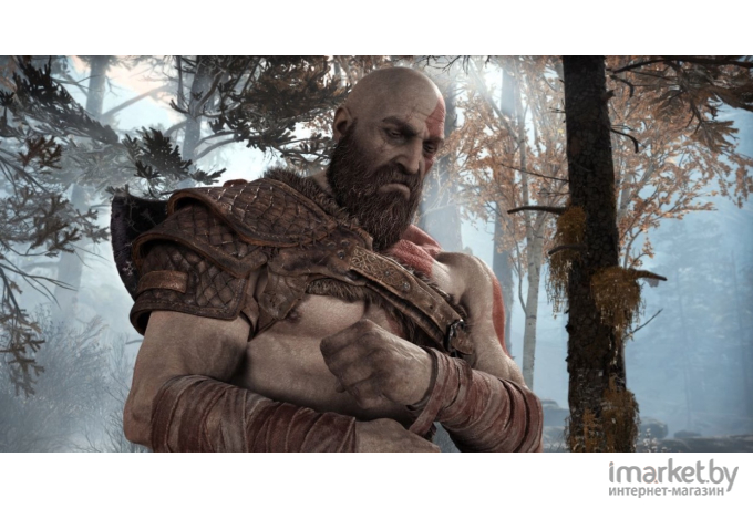 Игра для приставки Playstation Sony PS4 God of War RU Version (711719964506)