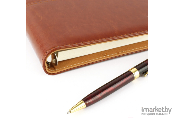 Ежедневник Darvish А5 на кольцах с ручкой в ассортименте черный/коричневый/синий (DV-6753)