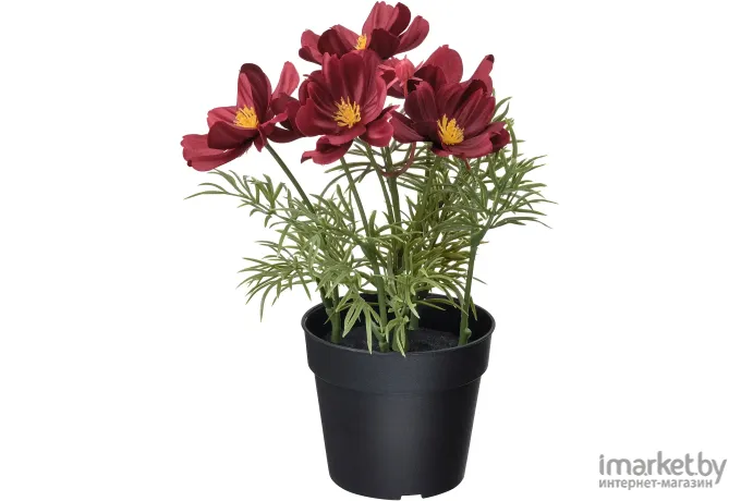 Искусственное растение Ikea Фейка космея красный (805.357.34)