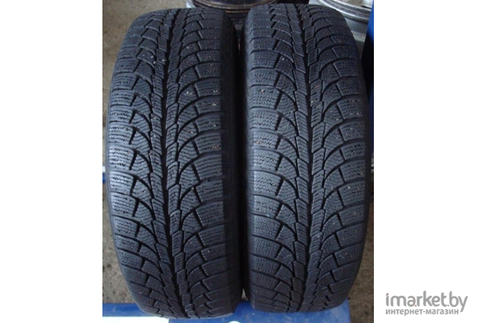 Автомобильные шины Gislaved Soft*Frost 200 225/55R16 99T