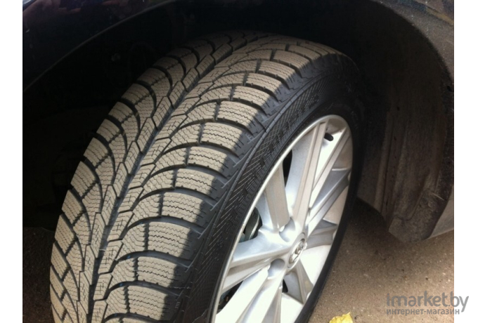 Автомобильные шины Gislaved Soft*Frost 200 225/55R16 99T