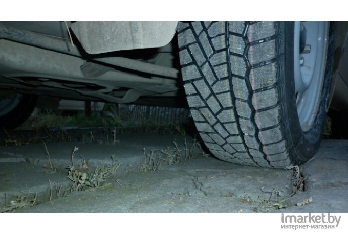 Автомобильные шины Gislaved Soft*Frost 200 225/55R16 99T