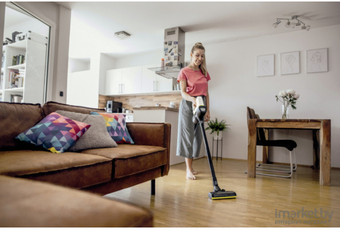 Пылесос сухой уборки Karcher VC 4 Cordless myHome Pet (1.198-633.0)