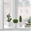 Набор искусственных растений IKEA Фейка кактус (605.229.97)