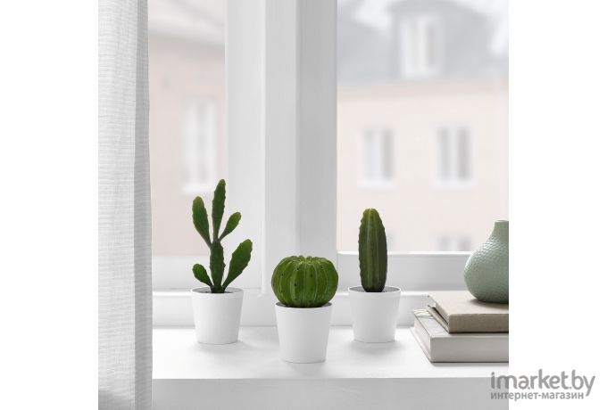 Набор искусственных растений IKEA Фейка кактус (605.229.97)