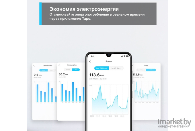 Умная розетка TP-Link P110 (2-pack)