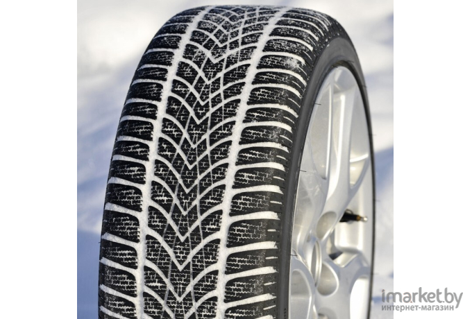 Автомобильные шины Dunlop Winter Maxx SJ8 225/60R17 99R