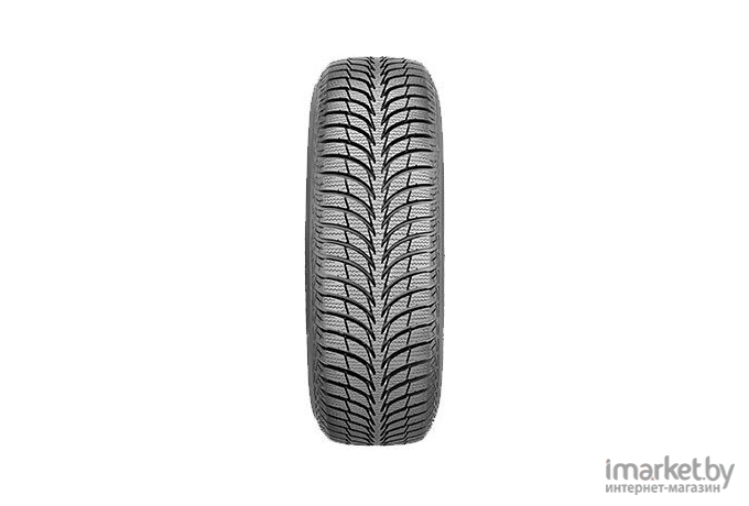 Автомобильные шины Sava Eskimo Ice 195/55R16 87T