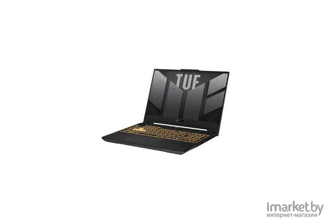 Ноутбук Asus FX517ZM-AS73 (90NR09Q3-M004E0)