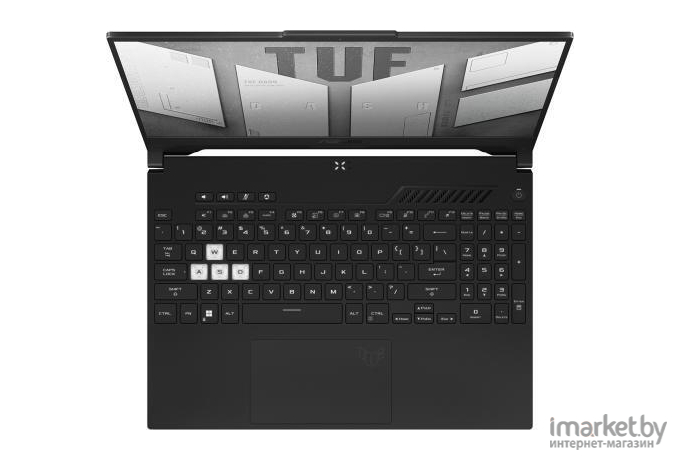 Ноутбук Asus FX517ZE-HN066 Black (90NR0953-M00AE0)