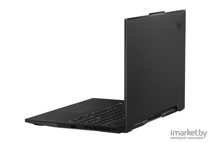Ноутбук Asus FX517ZE-HN066 Black (90NR0953-M00AE0)