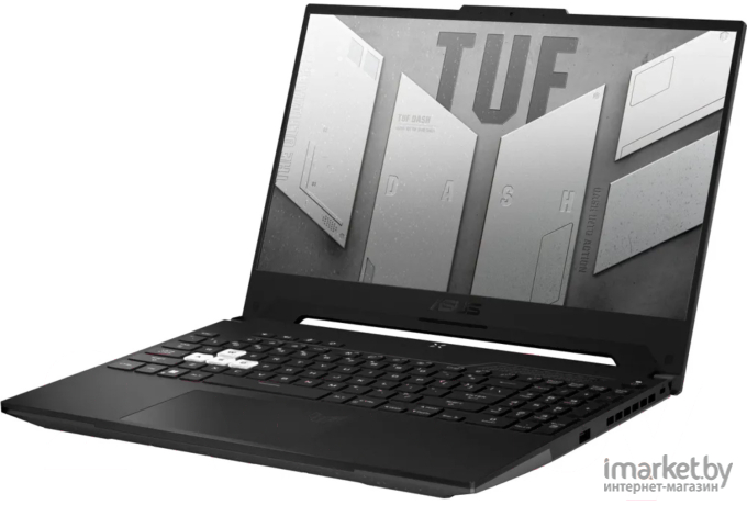 Ноутбук Asus FX517ZE-HN120W Black (90NR0953-M00AC0)